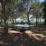 Semesterbostad In Arezzo, Elba *