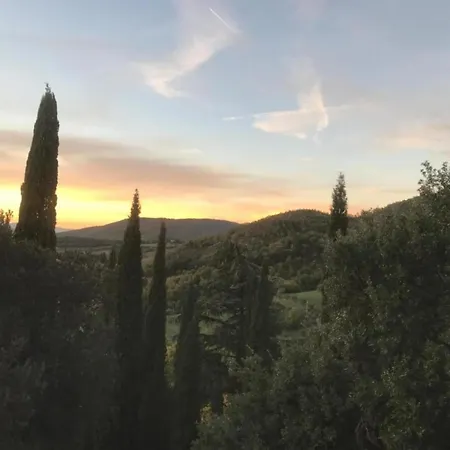 In Arezzo, Elba *